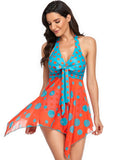 Mesh Swimdress Two Piece Tankini